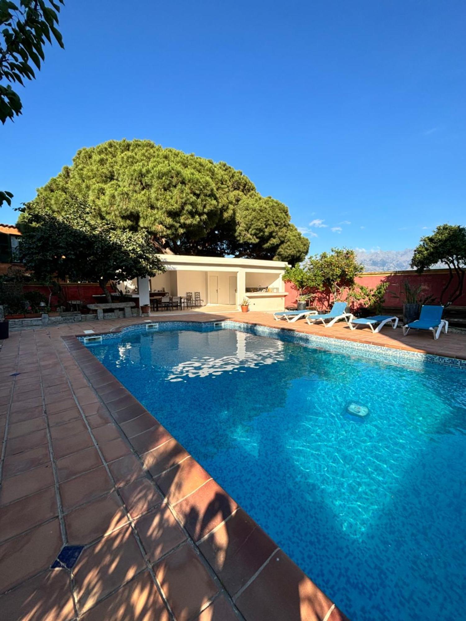 קאלבי Residence Antonia Appartements Avec Piscine Commune - Centre Ville Calvi מראה חיצוני תמונה